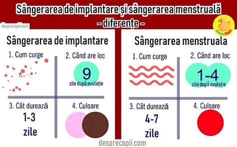 implantarea ovulului|Sangerarea de implantare: ce este si cum o recunosti